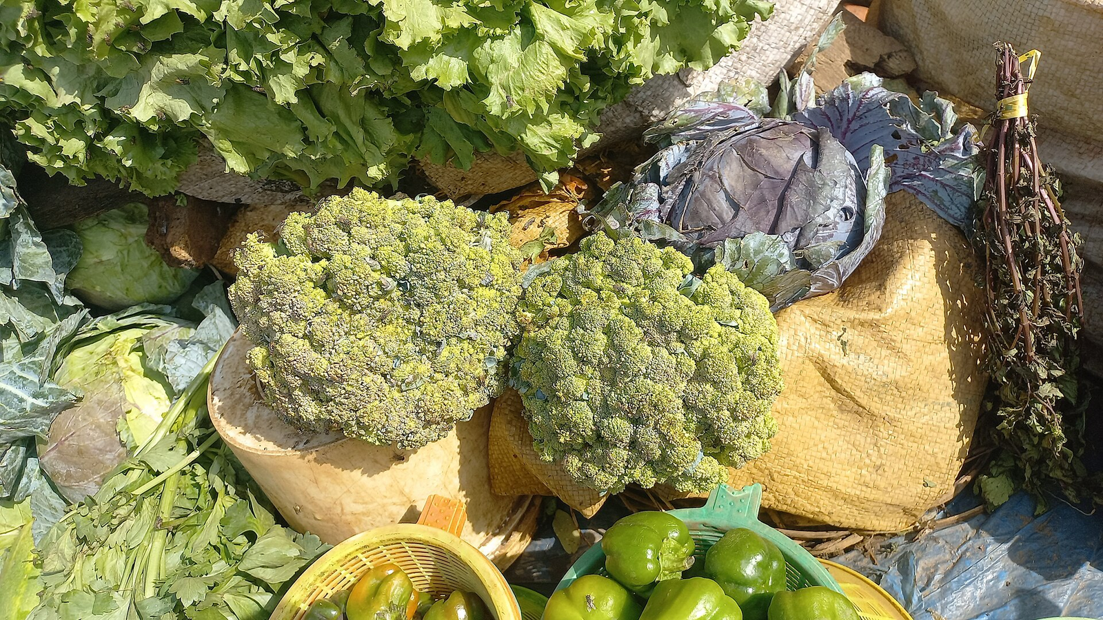 Microbiota intestinal y fibra vegetal: por qué importa más que “detox”